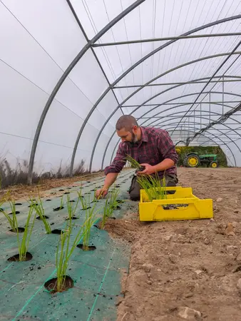 Les jardin de La Joulanderie - Benjamin Viemon