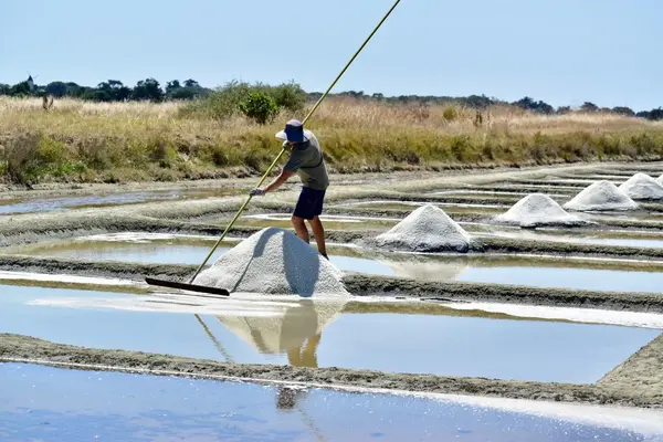 Le Marais de la Corbe